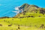 Mākara Beach - Photo Credit: Photo by Sebastian Schuster on Unsplash