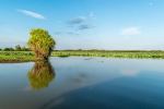 Yellow Water (Ngurrungurrudjba) - Photo Credit: Photo by Vladimir Haltakov on Unsplash