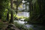 Whangarei Falls - Photo Credit: Photo by Davide Dalfovo on Unsplash
