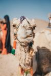  Photo Credit: Photo by Antonio Janeski on Unsplash