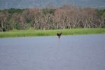 Chamo Lake - Photo Credit: Photo by Upendra Aleti on Unsplash