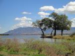 Zambia