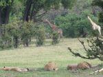  Photo Credit: pscholtes