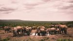  Photo Credit: Photo by Kyle Petzer on Unsplash
