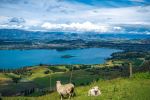 Glendhu Bay - Photo Credit: Photo by JinHui CHEN on Unsplash