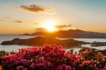  Photo Credit: Photo by Royce Fonseca on Unsplash