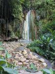 Diamond Botanical Gardens - Photo Credit: Photo by THARUN GOWDA on Unsplash