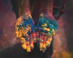  Photo Credit: Photo by Debashis RC Biswas on Unsplash
