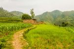 Darchula Village - Photo Credit: Photo by Sushanta Rokka on Unsplash