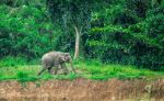  Photo Credit: Photo by Mosharraf Hossain on Unsplash