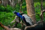 Photo Credit: Photo by Adithya Ramakrishnan on Unsplash