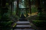 Hidden Temple - Photo Credit: Photo by Samuel Berner on Unsplash