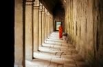 Photo Credit: Photo by Alexander on Unsplash