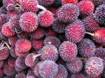 Durian - Photo Credit: Photo by Mick Haupt on Unsplash