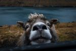  Photo Credit: Photo by Liam McGarry on Unsplash