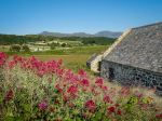 St Tanwg's Church, Llandanwg - Photo Credit: Photo by William Warby on Unsplash