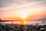 Photo Credit: Photo by isaac sloman on Unsplash
