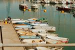  Photo Credit: Photo by Luke Moss on Unsplash