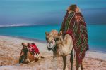  Photo Credit: Photo by Hyude Jacques on Unsplash