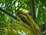 Sloth - Photo Credit: Photo by Joanna Borkowska on Unsplash