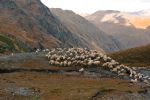 Abano Pass - Photo Credit: Photo by Heiner Buhr on Unsplash