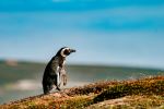  Photo Credit: Photo by Rod Long on Unsplash