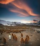  Photo Credit: Photo by Ian Parker on Unsplash