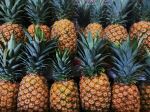 Pineapple - Photo Credit: Photo by Juno Jo on Unsplash
