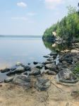 Nopiming Provincial Park - Photo Credit: Photo by Bibin Tom on Unsplash