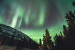  Photo Credit: Photo by Leonard Laub on Unsplash