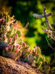  Photo Credit: Photo by Michael Perrine on Unsplash