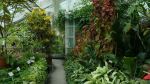 Jagiellonian University Botanical Graden - Photo Credit: Photo by Uliana Sova on Unsplash