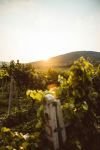  Photo Credit: Photo by Martin Katler on Unsplash