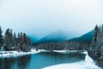  Photo Credit: Photo by Matthew Sichkaruk on Unsplash