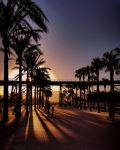  Photo Credit: Photo by Pepe Saez on Unsplash