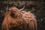  Photo Credit: Photo by Presetbase Lightroom Presets on Unsplash