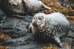  Photo Credit: Photo by Thomas Bonometti on Unsplash