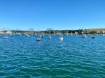 Carrick Roads - Photo Credit: Photo by Ash Seddon on Unsplash