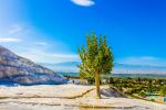  Photo Credit: Photo by MURAD TURNA on Unsplash