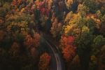  Photo Credit: Photo by Chad Madden on Unsplash
