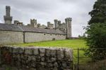 Duckett's Grove - Photo Credit: Photo by Howard Walsh on Unsplash