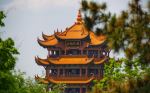  Photo Credit: Photo by Bo Zhang on Unsplash