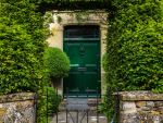  Photo Credit: Photo by martin fenton on Unsplash