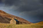  Photo Credit: Photo by martin bennie on Unsplash