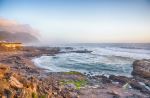  Photo Credit: Photo by David Merrick on Unsplash