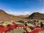  Photo Credit: Photo by Sami Lamqaddam on Unsplash