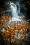 Falls Of Falloch - Photo Credit: Photo by Jonny Gios on Unsplash