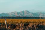  Photo Credit: Photo by Marian G Ruggiero on Unsplash