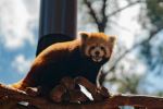  Photo Credit: Photo by Yezhang Wang on Unsplash