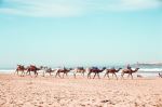  Photo Credit: Photo by Brent Olson on Unsplash